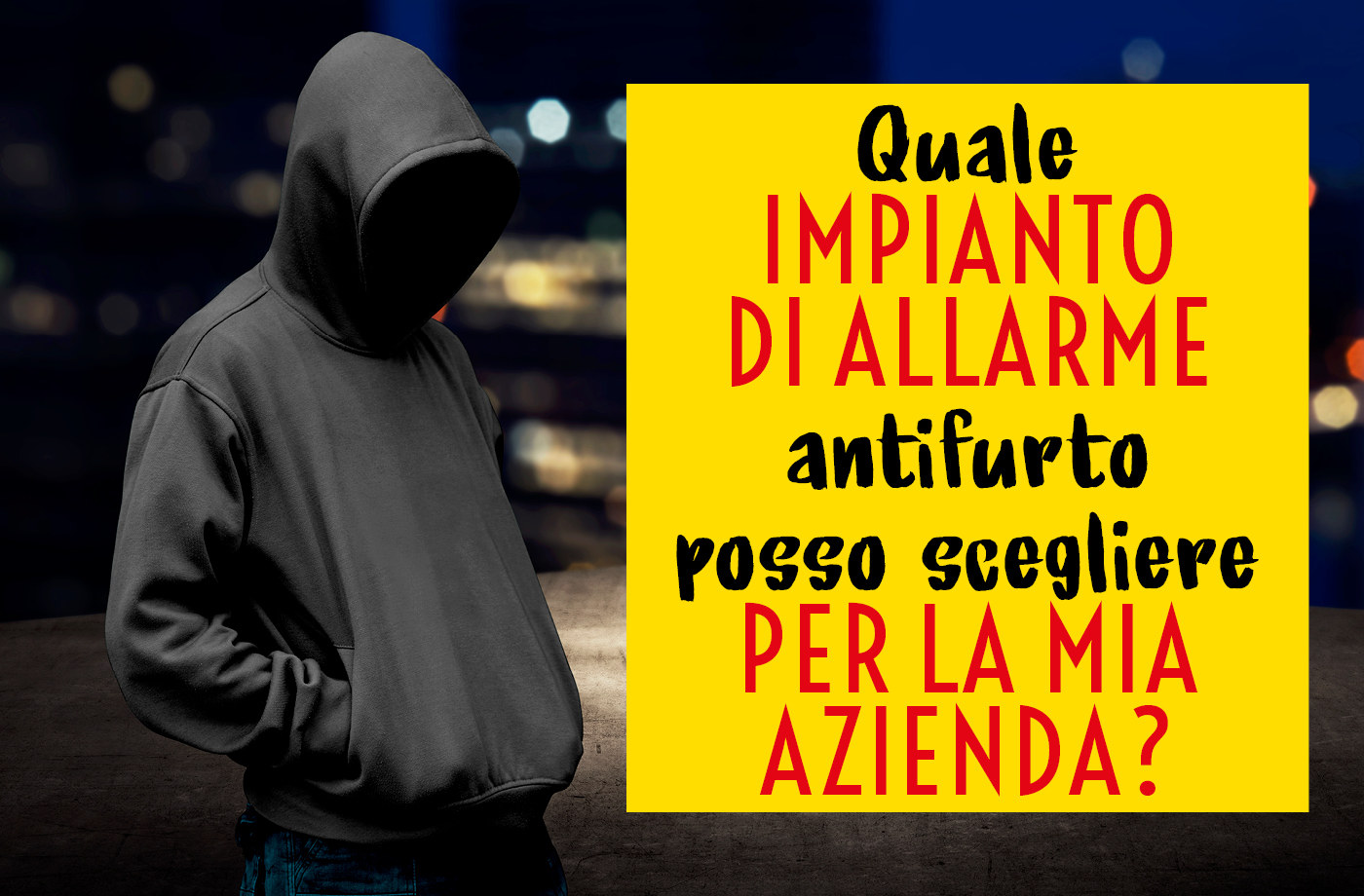 Antifurto azienda