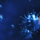 cellule della malattia x e titolo dell'articolo sui ladri di virus